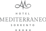 logo-mediterraneo-grigio